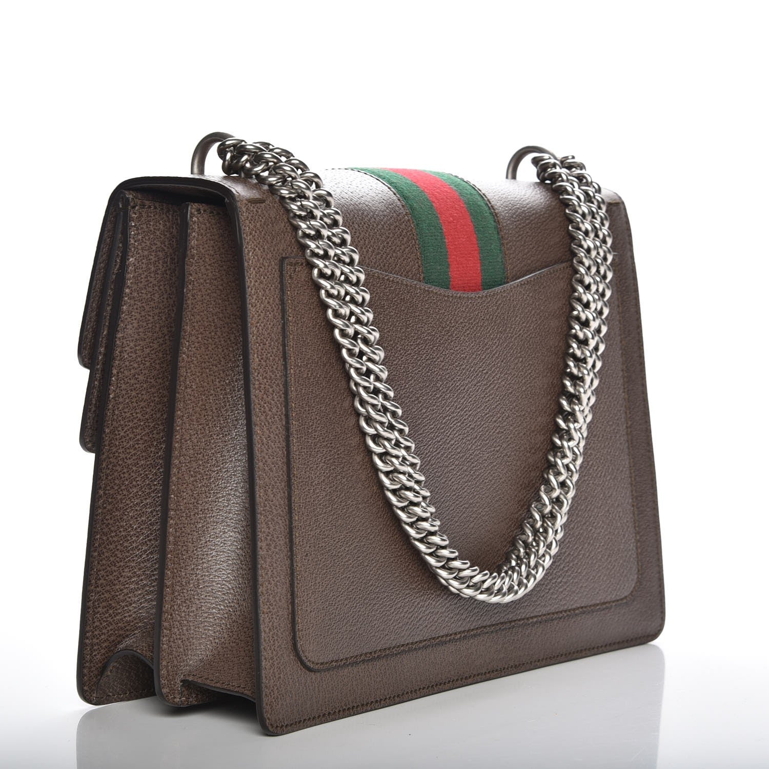 Gucci Textured Calfskin Web Medium Dionysus Shoulder Bag New Acero 3 of 7