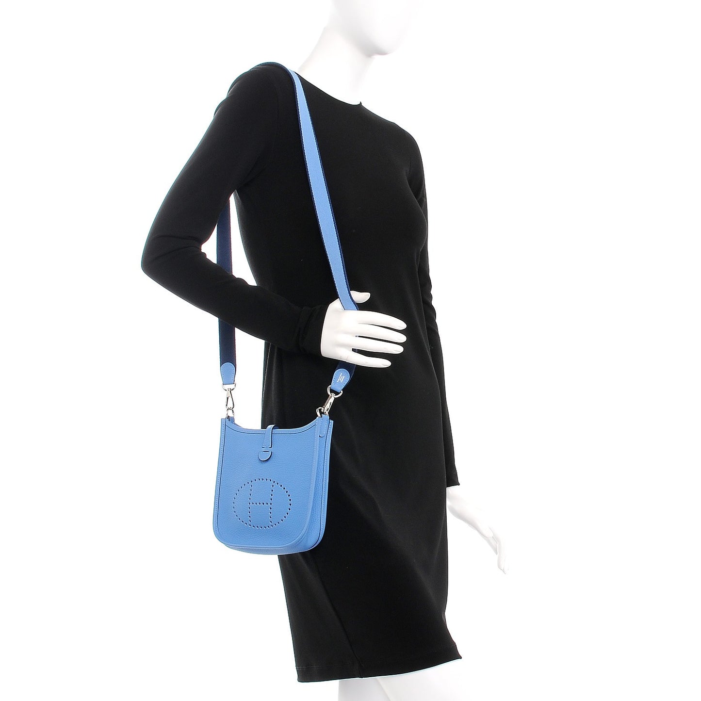 Taurillon Clemence Amazone Evelyne TPM Bleu Paradis Bleu Saphir