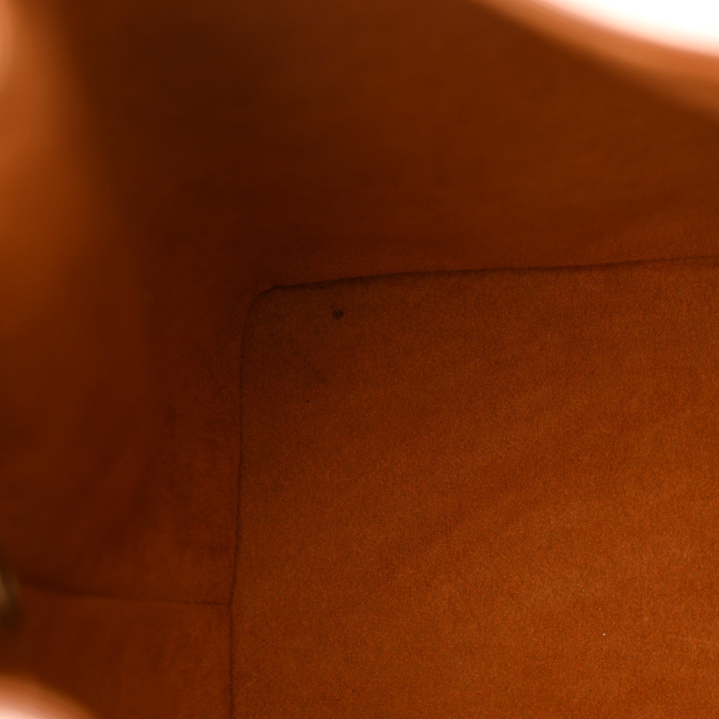 Epi Petit Noe Cipango