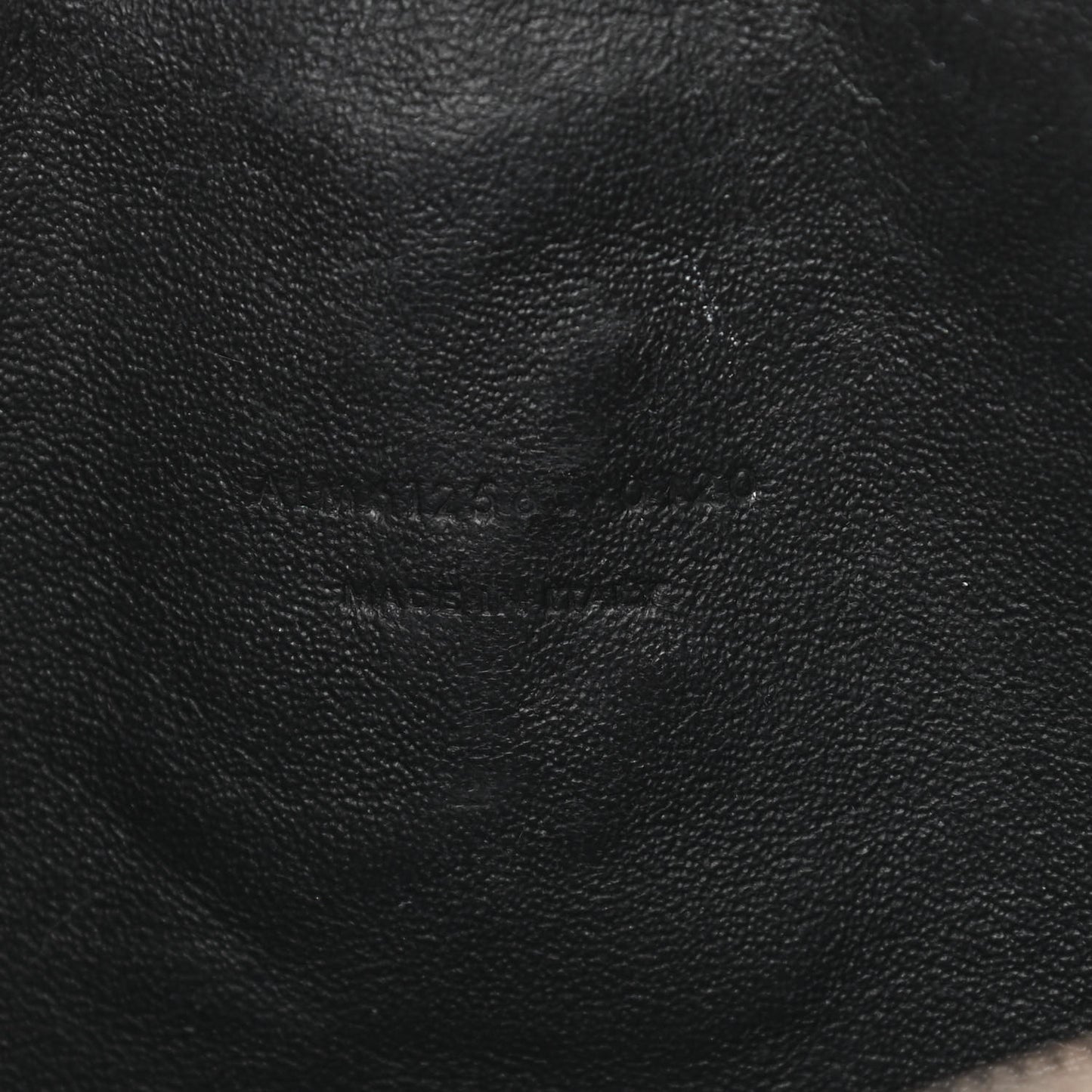 Calfskin Crocodile Embossed Monogram Mini Lou Camera Bag Black