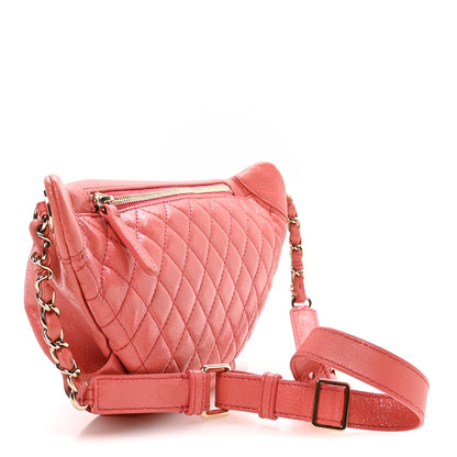 Chanel Lambskin Bi Quilted Waist Bag Fanny Pack Pink 3 of 10