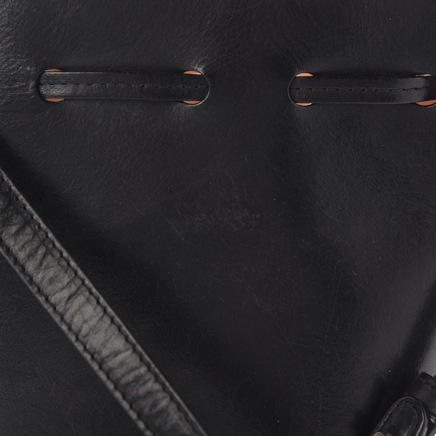 Mansur Gavriel Vegetable Tanned Calfskin Mini Mini Bucket Bag Black Ballerina 13 of 14