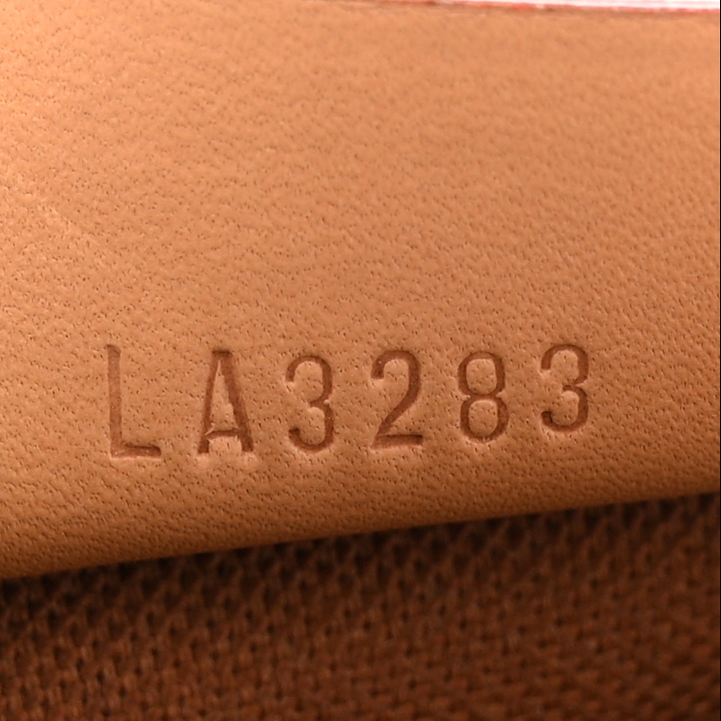 Monogram Nano Speedy Bandouliere