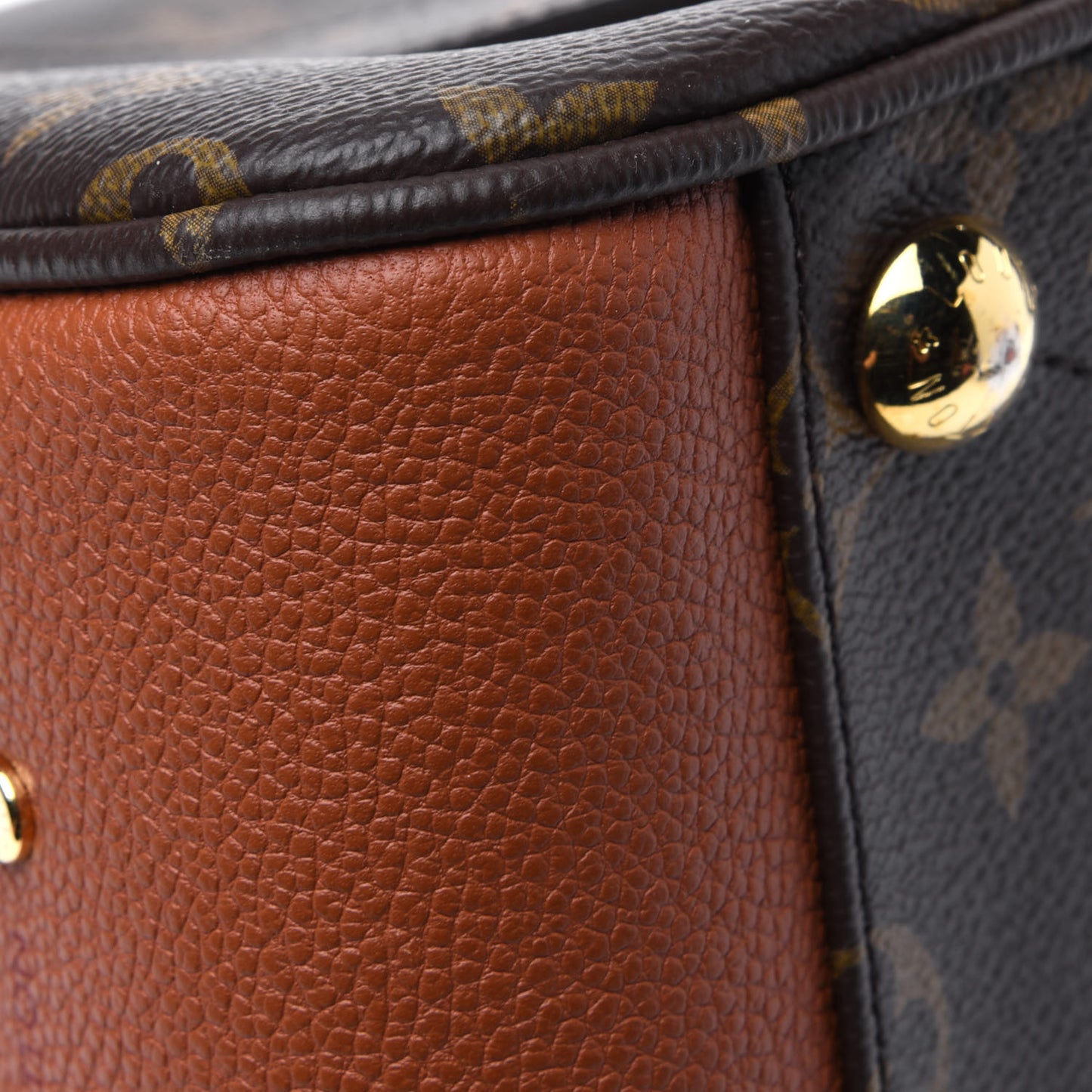 Monogram Manhattan NM Caramel