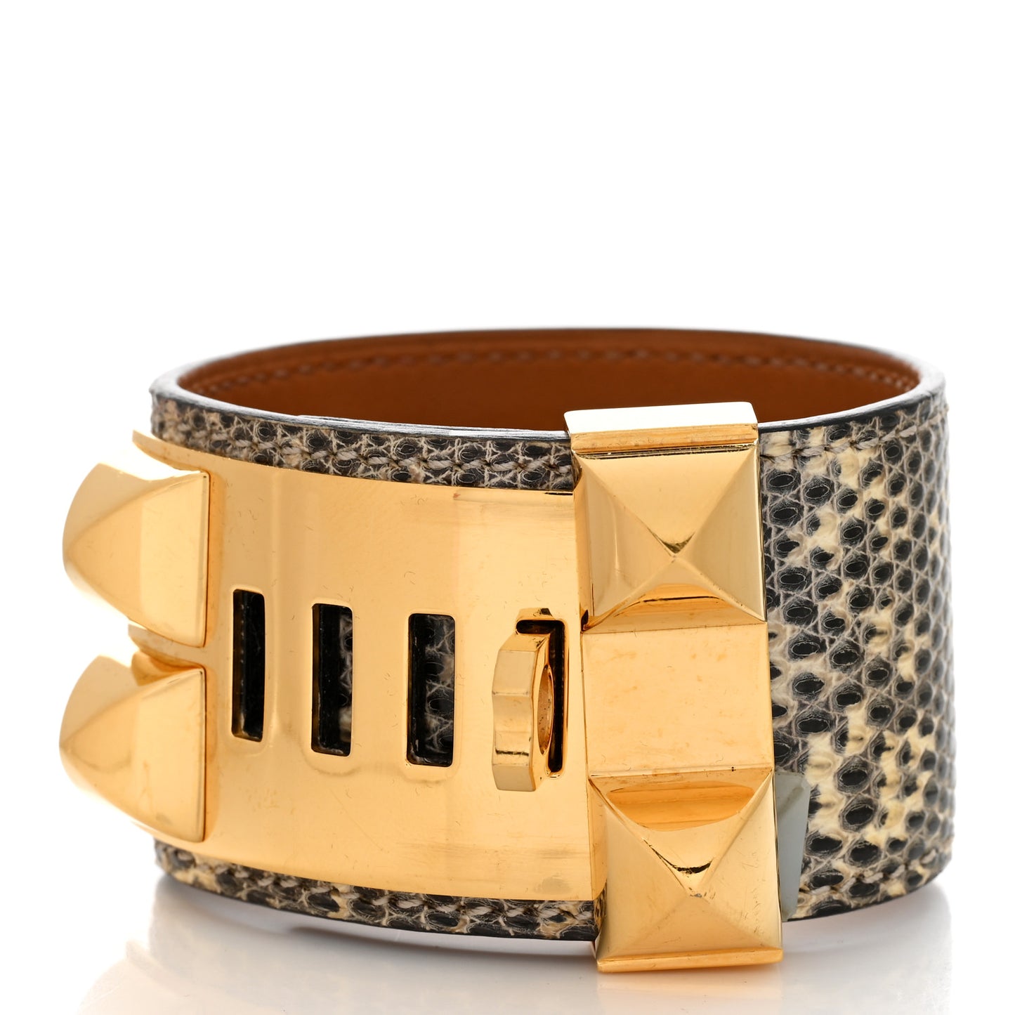Lizard Collier De Chien CDC Bracelet T2 Ombre