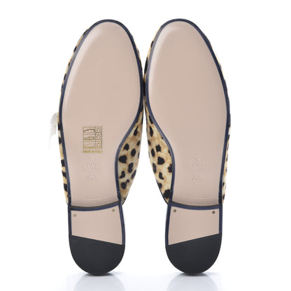 Gucci Calf Hair Leopard Print Womens Princetown Slippers 35.5 Naturale Black 5 of 9