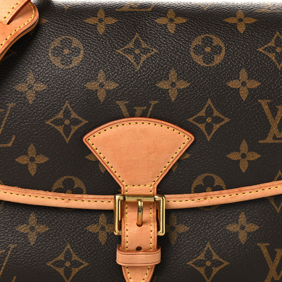Louis Vuitton Monogram Sologne 7 of 11