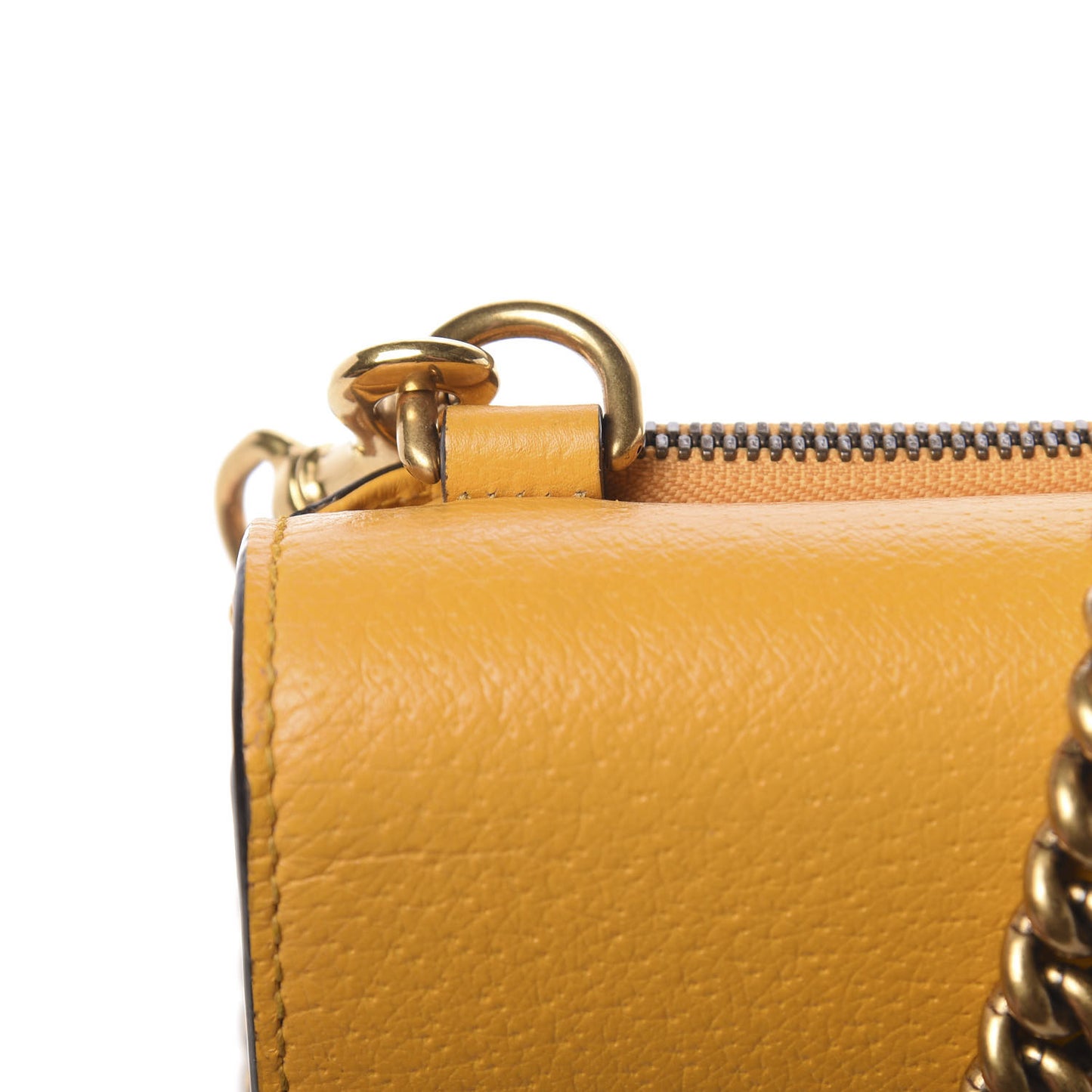 Textured Calfskin Web Animalier Chain Shoulder Bag Crop