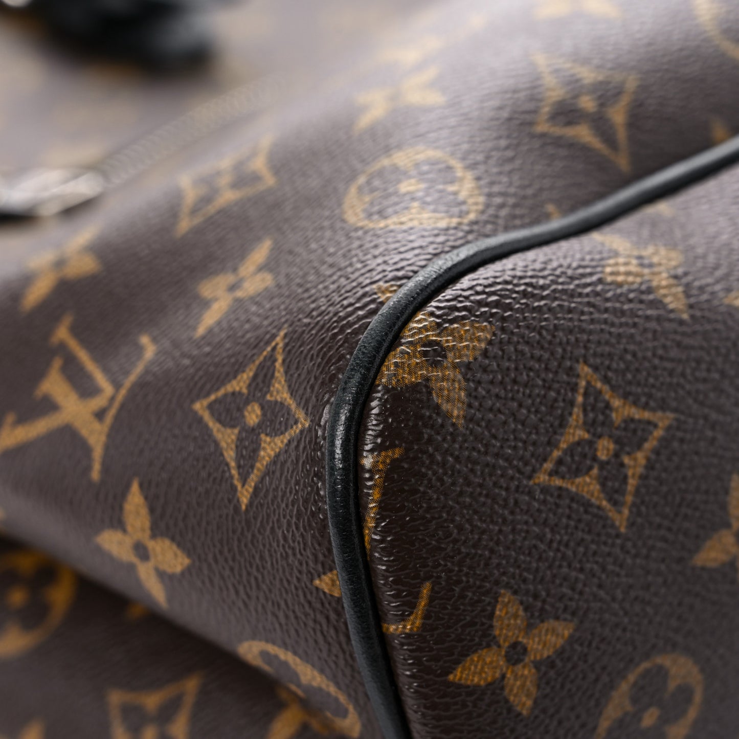 Monogram Macassar Palk Backpack