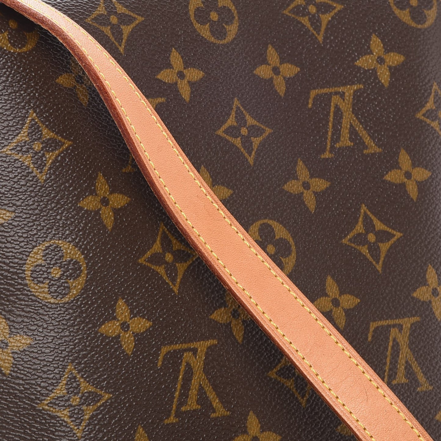 Monogram Musette Salsa