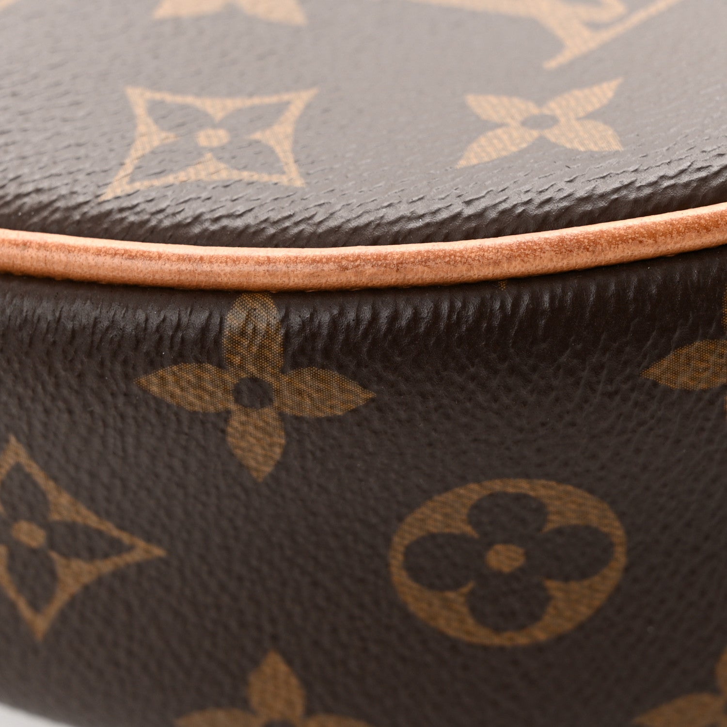 Louis Vuitton Monogram Loop 12 of 17