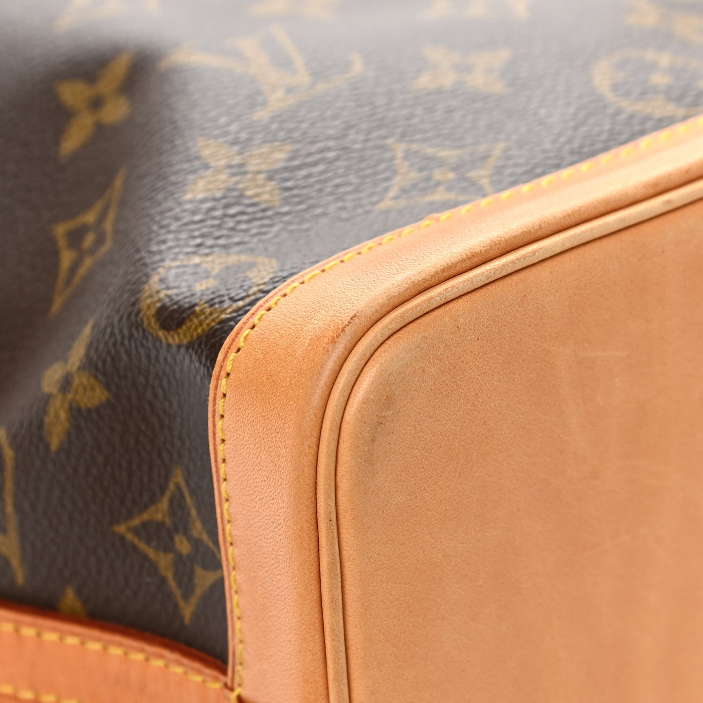 Monogram Mini Noe