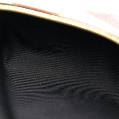Louis Vuitton Monogram Bumbag 5 of 10