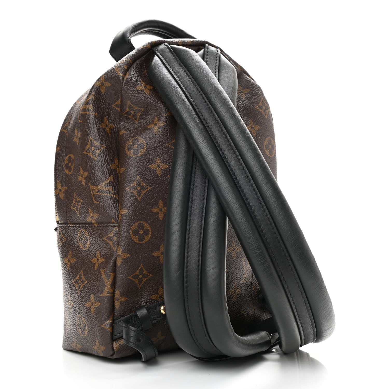 Louis Vuitton Monogram Palm Springs Backpack PM 3 of 11