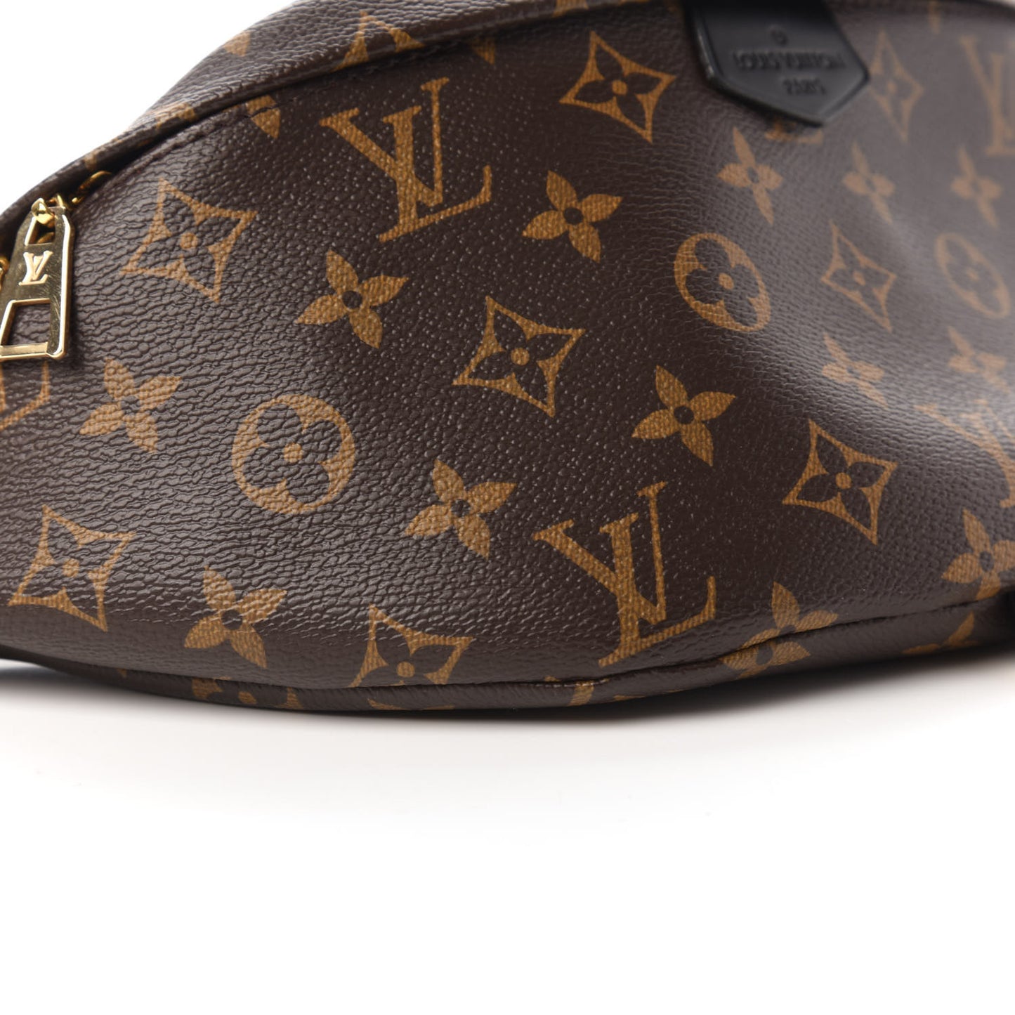 Monogram My LV World Tour Bumbag