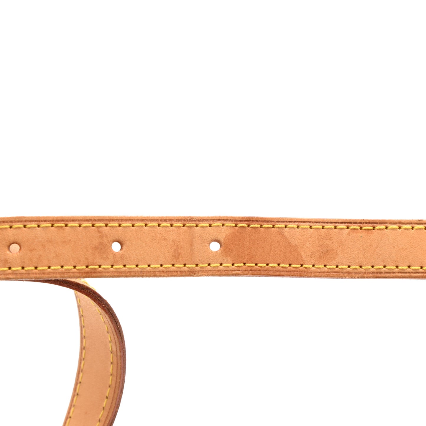 Monogram Musette Salsa