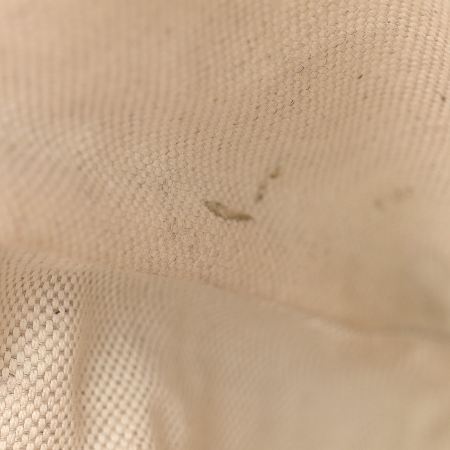 GG Supreme Monogram Web Small Ophidia Messenger Bag Brown