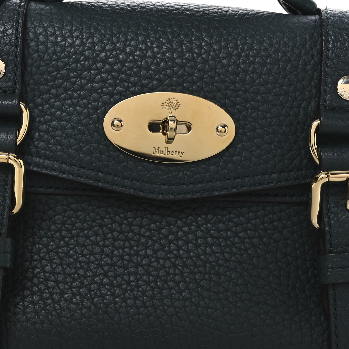 Heavy Grain Mini Alexa Mulberry Green