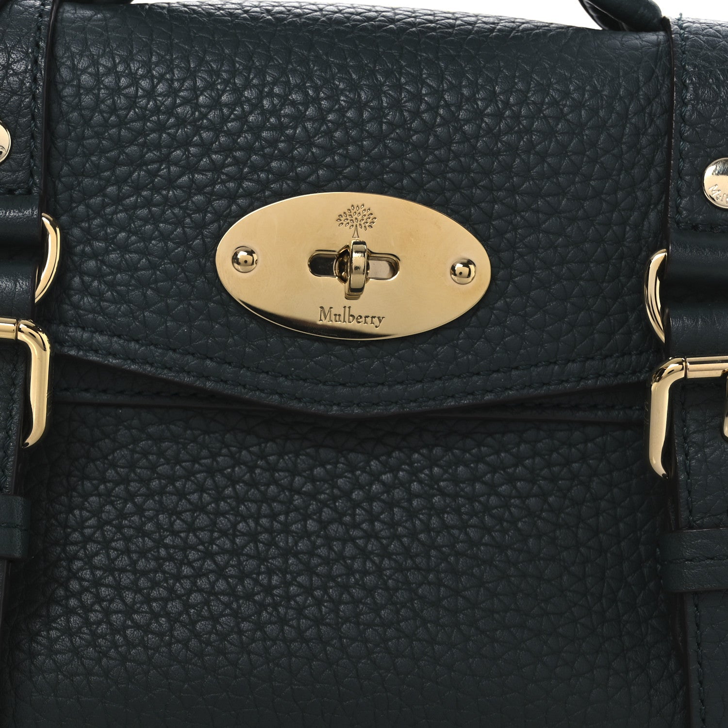 Mulberry Heavy Grain Mini Alexa Mulberry Green 7 of 13