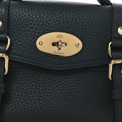 Mulberry Heavy Grain Mini Alexa Mulberry Green 7 of 13