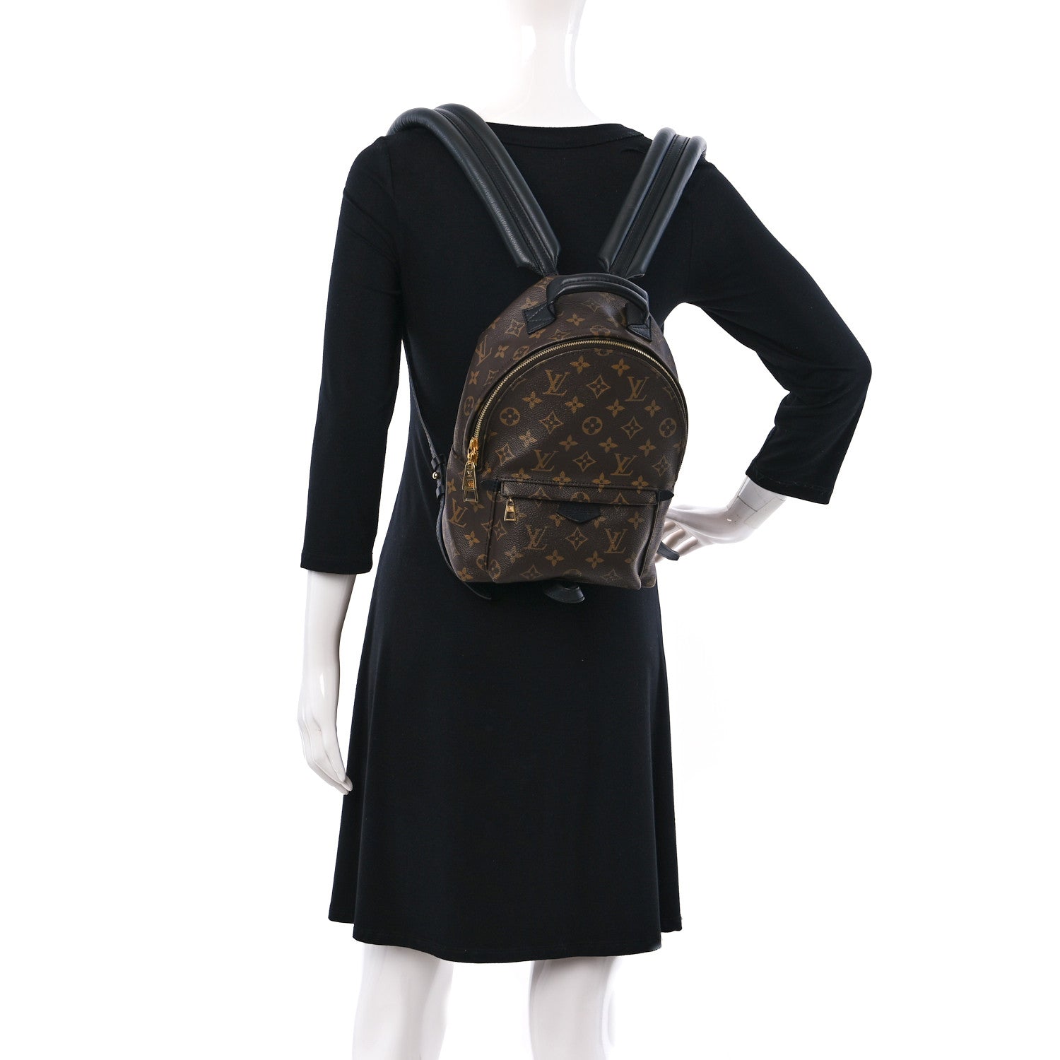 Louis Vuitton Monogram Palm Springs Backpack PM 2 of 8