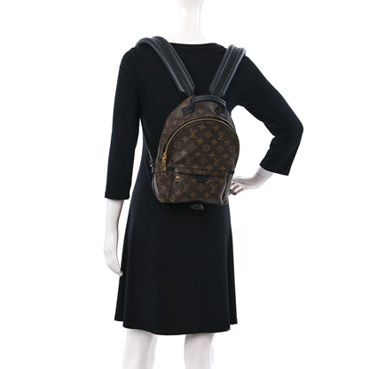Louis Vuitton Monogram Palm Springs Backpack PM 2 of 8