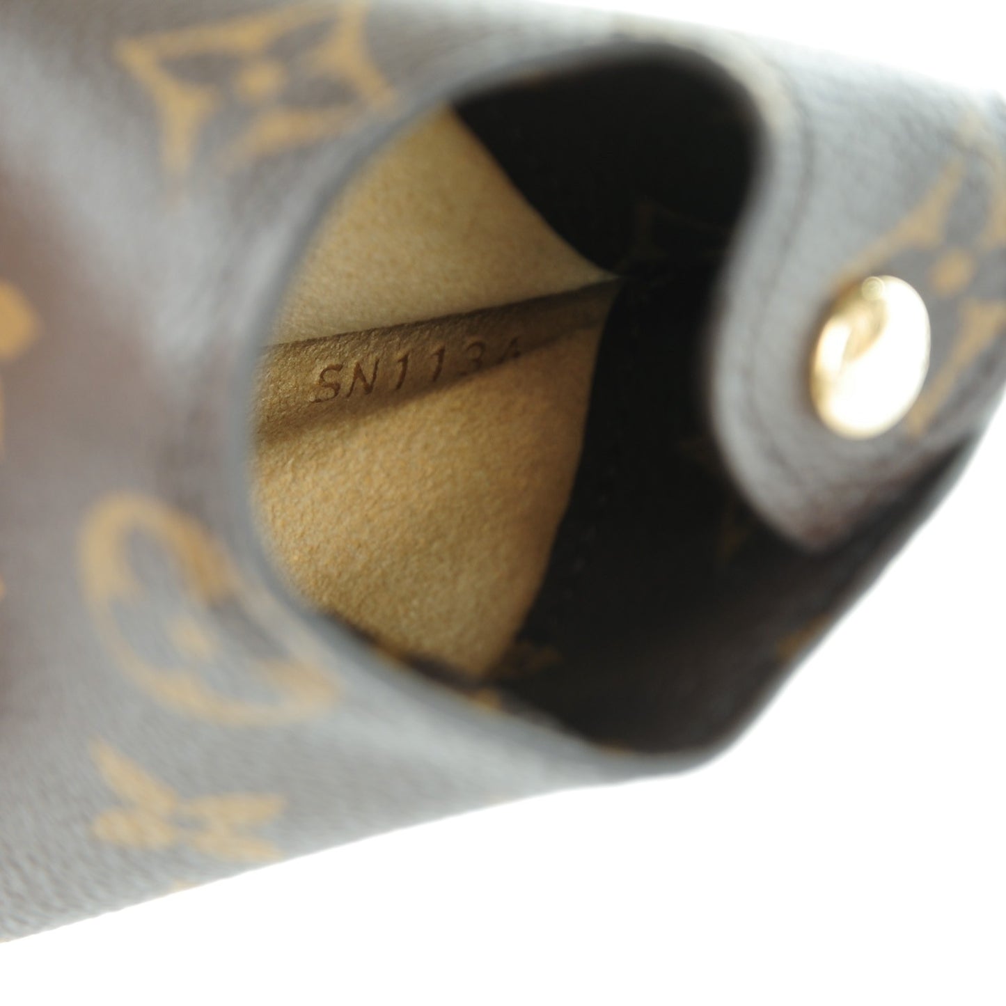 Monogram Sunglasses Case MM