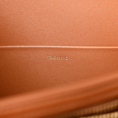 Celine Triomphe Canvas Calfskin Medium Triomphe Bag Tan 6 of 10