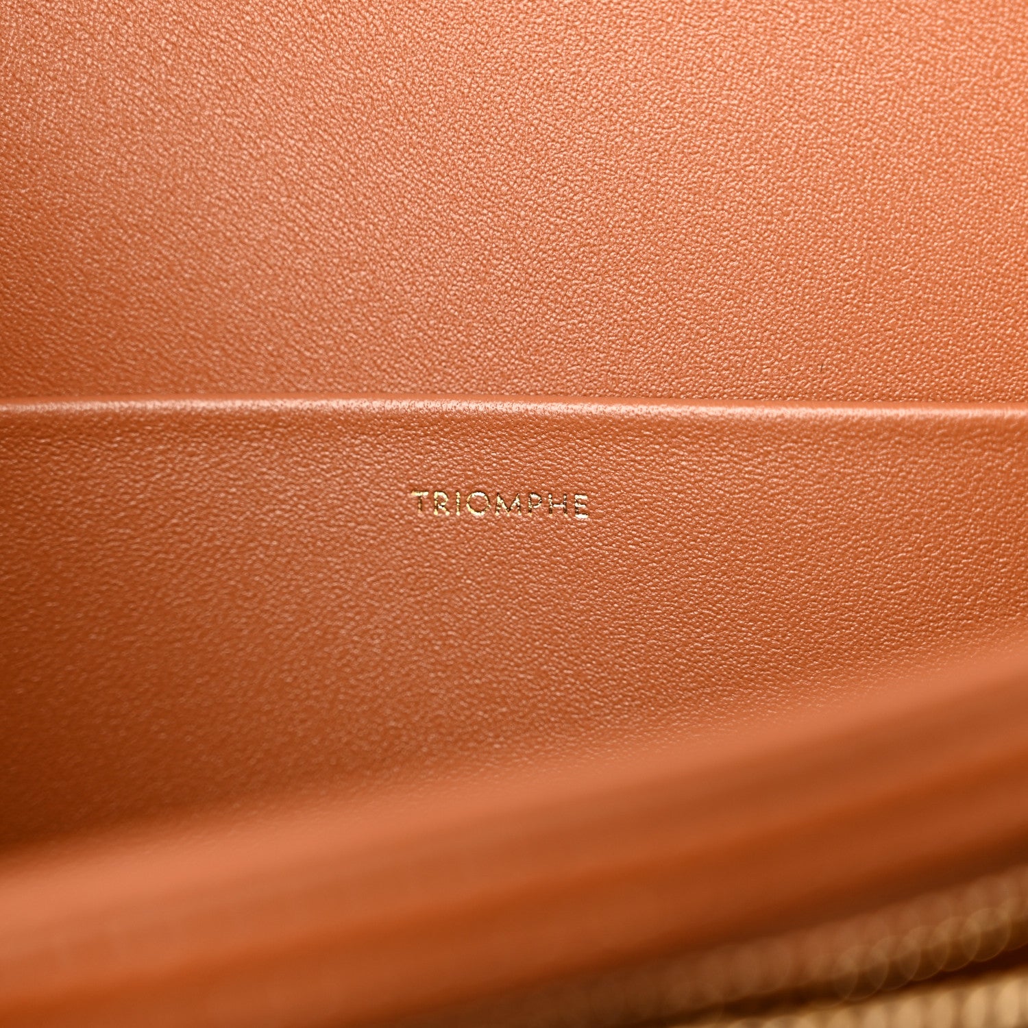 Celine Triomphe Canvas Calfskin Medium Triomphe Bag Tan 6 of 10