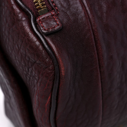 Alexander Wang Pebbled Lambskin Mini Rockie Matte Oxblood 11 of 12