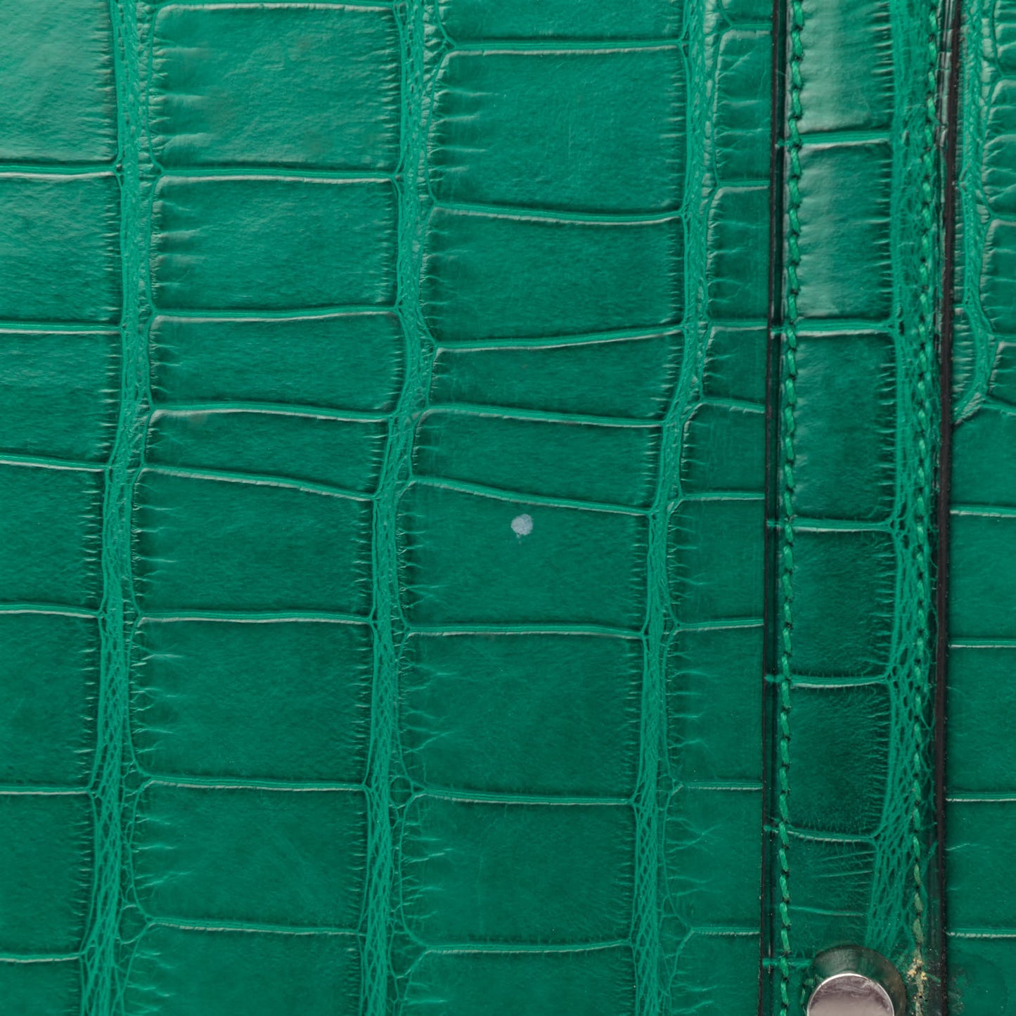 Matte Alligator Birkin 35 Malachite