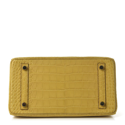 Hermes Matte Alligator Birkin 25 Jaune Ambre 6 of 33