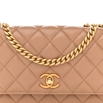 Chanel Calfskin Quilted Perfect Fit Wallet On Chain WOC Beige 9 of 16