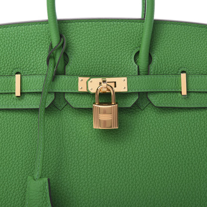 Hermes Togo Birkin 25 Bambou 7 of 10