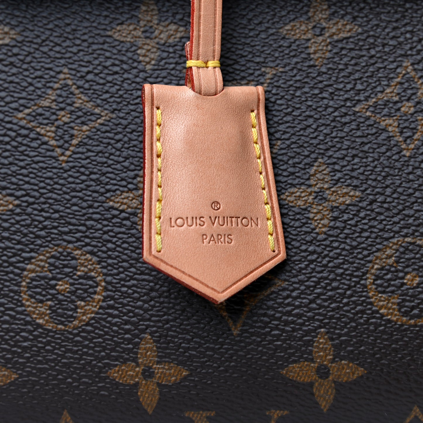 Monogram Cluny MM Blue Glacial