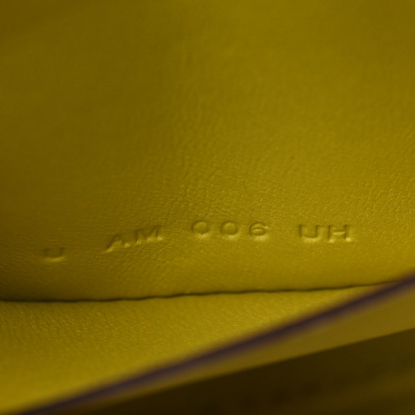 Swift Verso In-The-Loop Belt Bag Nata Lime