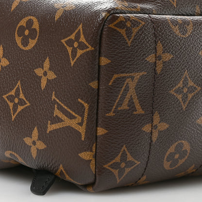 Louis Vuitton Monogram Palm Springs Backpack MM 8 of 9