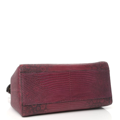 Fendi Lizard Togo Shiny Nappa Mini Peekaboo Iconic Satchel Barolo 4 of 8