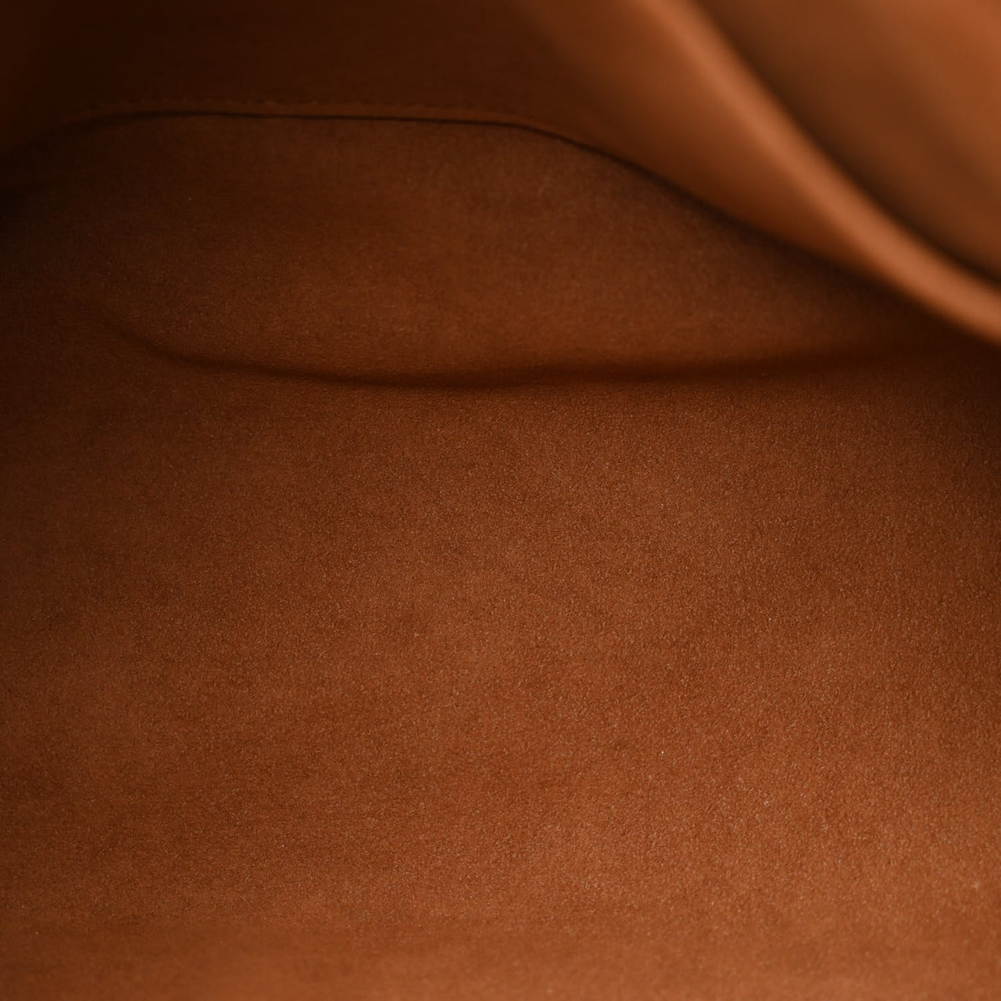 Monogram Pallas Havane