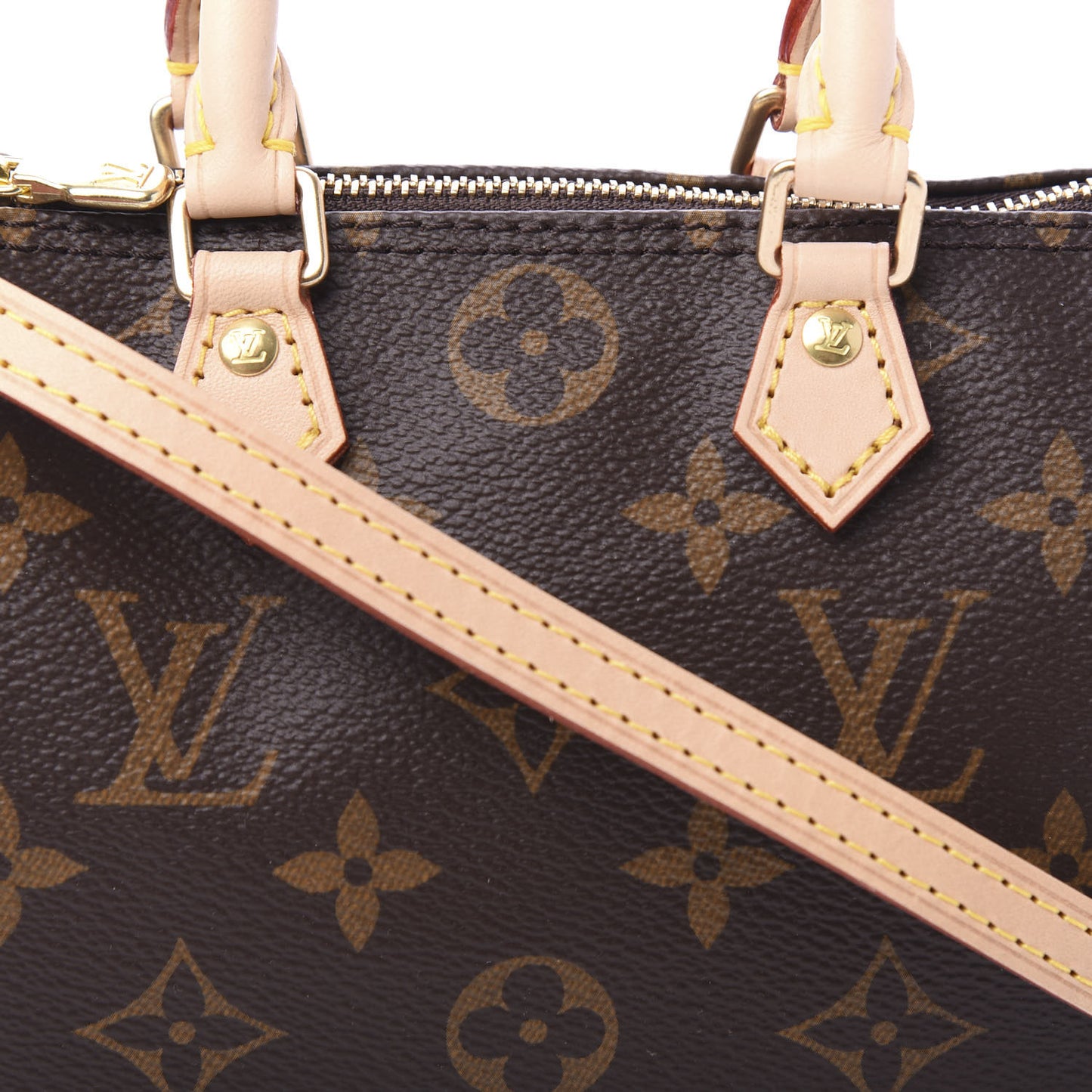 Monogram Nano Speedy