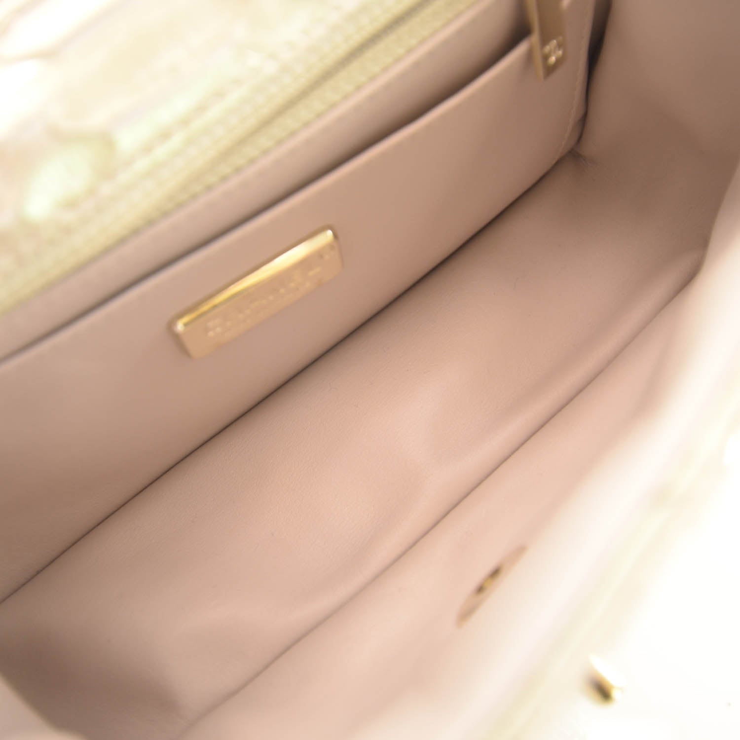 Chanel Iridescent Python Mini Flap 10 of 10