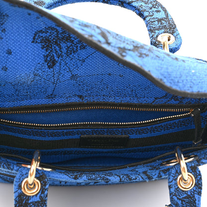 Christian Dior Canvas Toile de Jouy Zodiac Embroidered Medium Lady D-Lite Blue 5 of 9