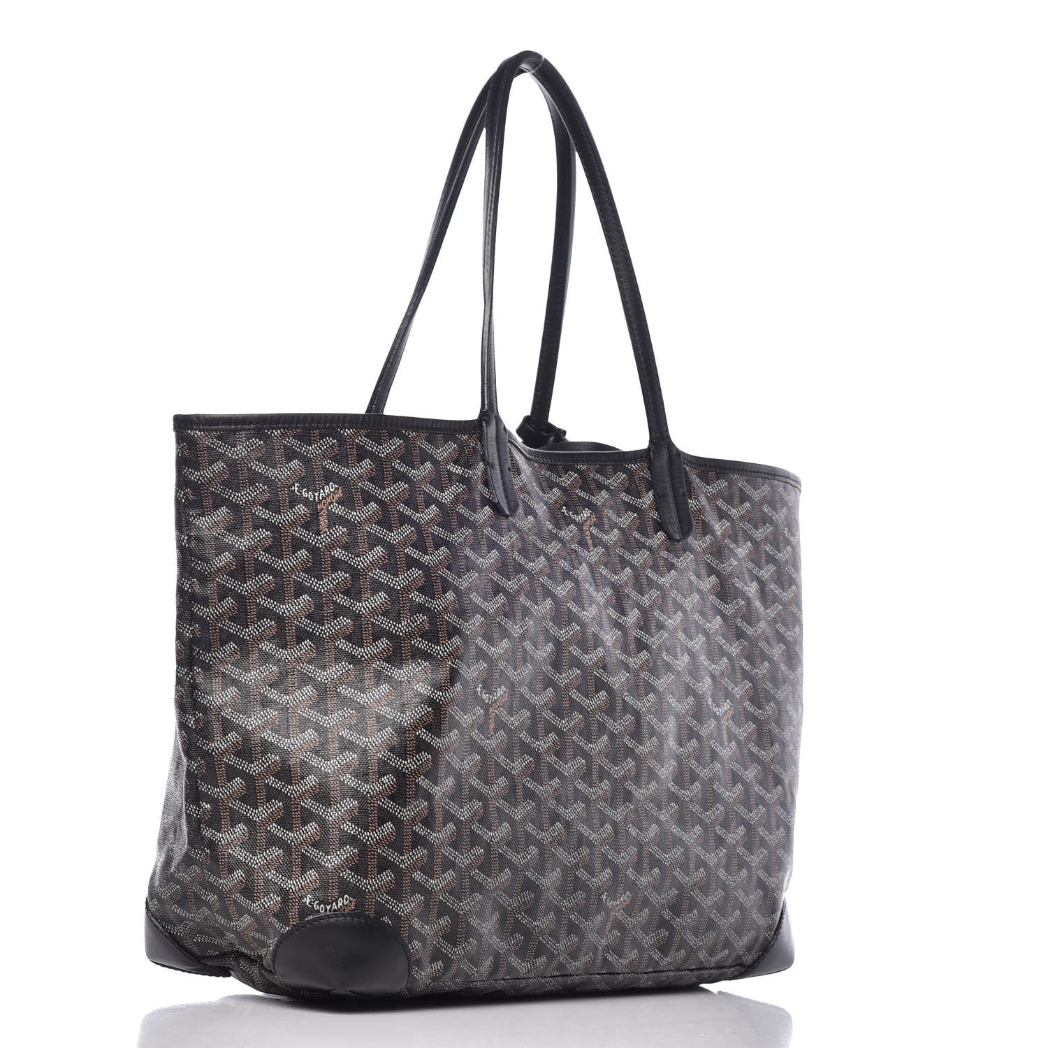 Goyard Goyardine Saint Louis PM Black 4 of 15