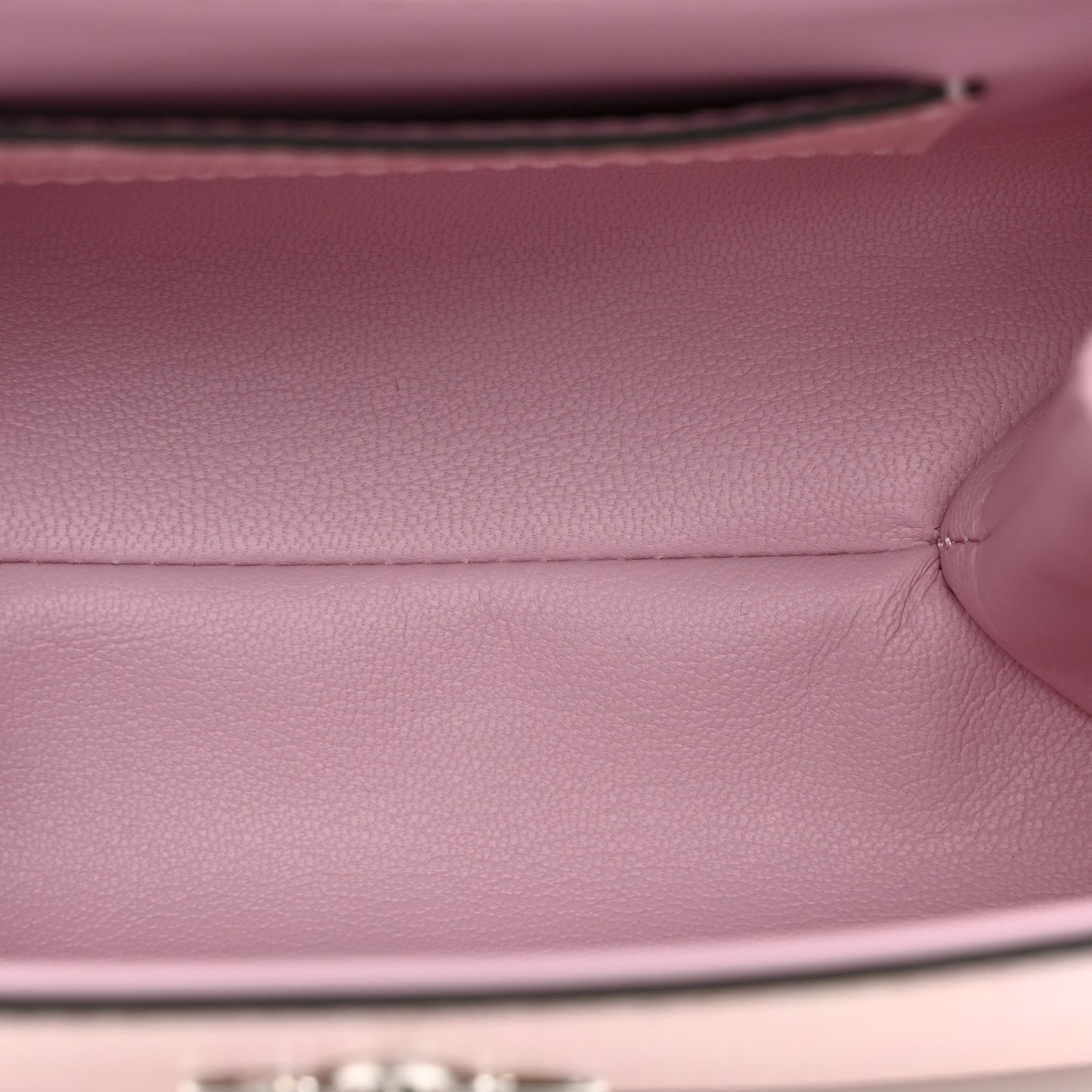 Iridescent Lizard Rose Des Vents Mini Pink