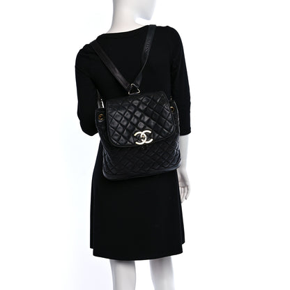 Chanel Lambskin Quilted Drawstring Backpack Black 2 of 16