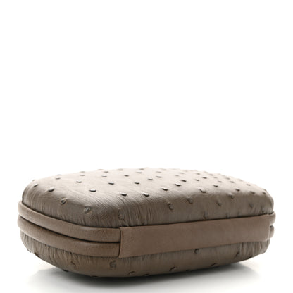 Bottega Veneta Ostrich Chain Knot Clutch New Steel 4 of 9