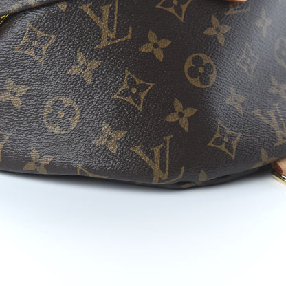 Louis Vuitton Monogram Bumbag 6 of 9
