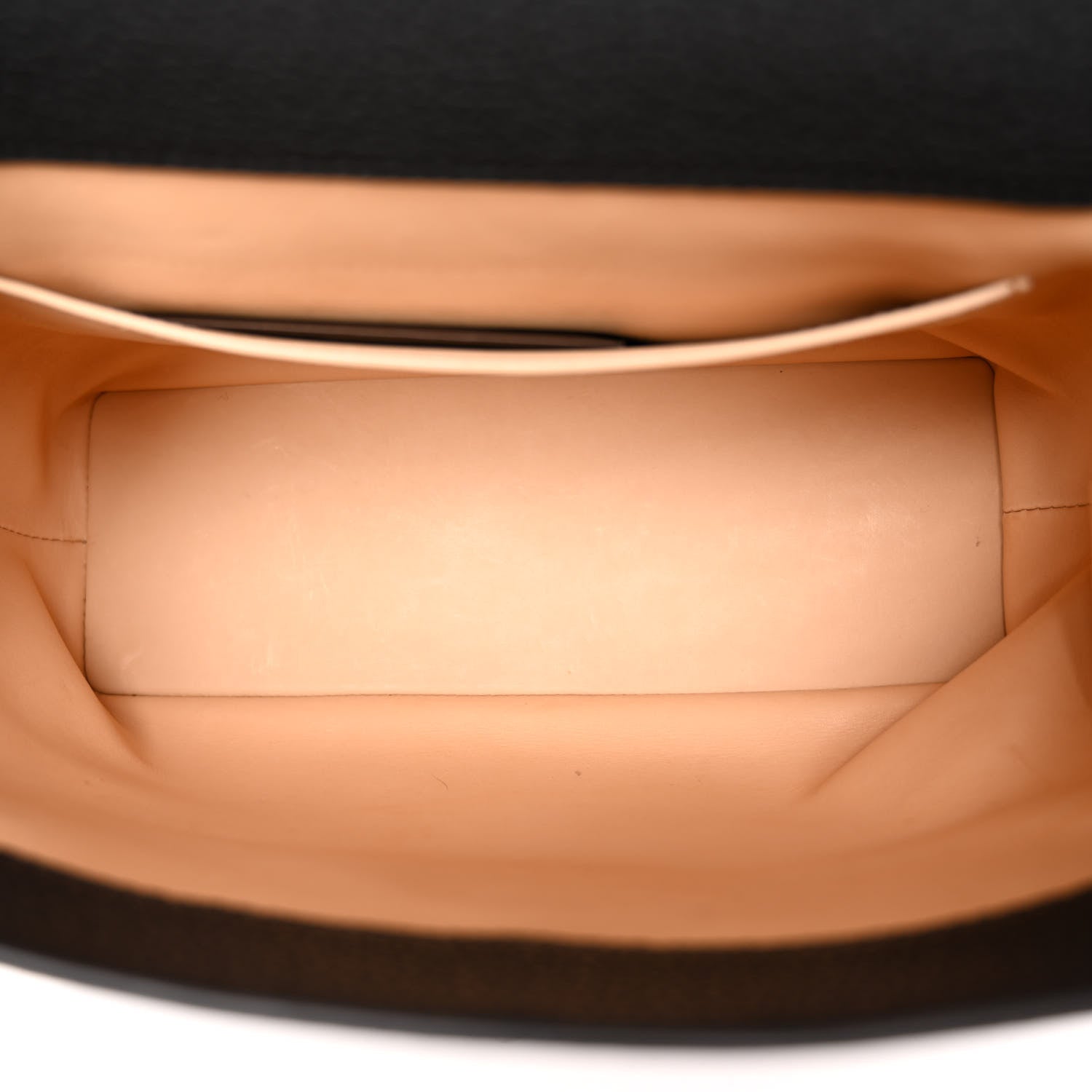 Moynat Taurillon Blush Calfskin Gabby PM Black 5 of 9
