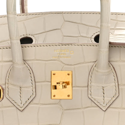 Hermes Matte Alligator Birkin 25 Beton 5 of 10