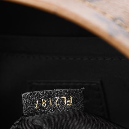 Louis Vuitton Reverse Monogram Palm Springs Backpack Mini 6 of 7
